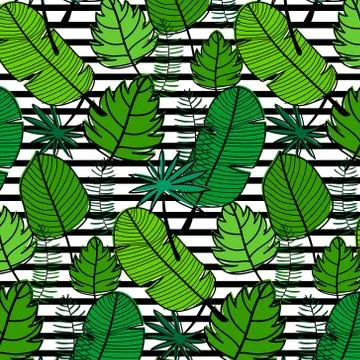 Tropical Pattern Background. Hand Drawn Vector Illustration. Stock Illustration