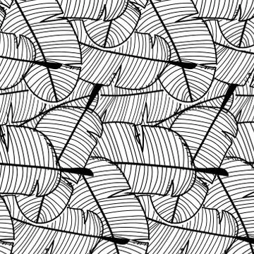 Tropical Pattern Background. Hand Drawn Vector Illustration. Stock Illustration