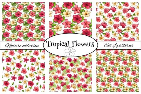 Tropical pattern with exotic plants flowers and leaves in cartoon style Stock Illustration