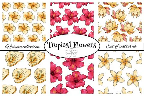 Tropical pattern with exotic plants flowers and leaves in cartoon style Stock Illustration