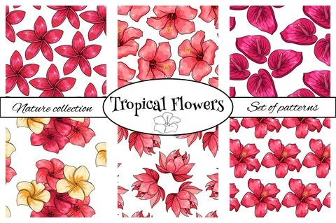 Tropical pattern with exotic plants flowers and leaves in cartoon style Stock Illustration
