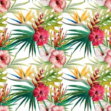 Tropical pattern Stock Illustration