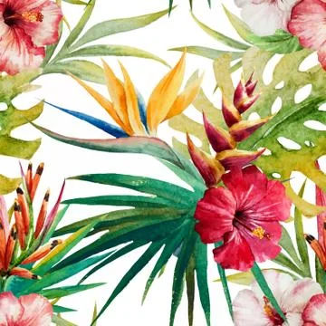 Tropical pattern Stock Illustration