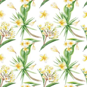 Tropical Pattern Stock Illustration