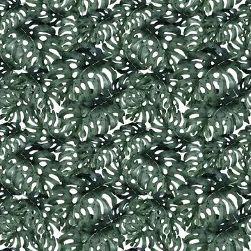 Tropical pattern with jungle leaves, palm tree. Exotic leaves illustrations Stock Illustration