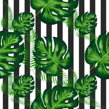 Tropical Pattern with Monstera Leaves. Summer Design for Swimwear. Stock Illustration