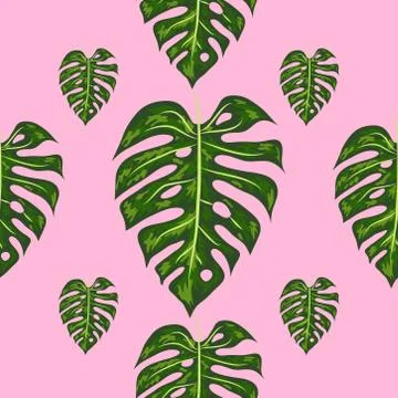 Tropical Pattern. Seamless Texture with Bright Hand Drawn Leaves of Monstera. Stock Illustration