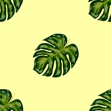 Tropical Pattern. Seamless Texture with Bright Hand Drawn Leaves of Monstera. Stock Illustration