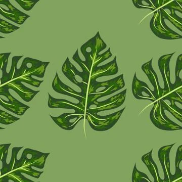 Tropical Pattern. Seamless Texture with Bright Hand Drawn Leaves of Monstera. Stock Illustration