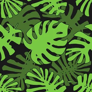 Tropical Pattern. Seamless Texture with Hand Drawn Leaves of Exotic Tree Stock Illustration