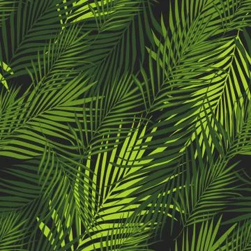 Tropical pattern, vector botanical background. Palm leaves wallpaper. Illustrazione stock