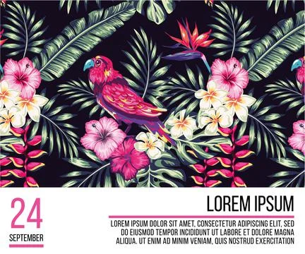 Tropical patterns for banners and page and magazine layouts decorated with tr Stock Illustration