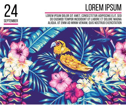 Tropical patterns for banners and page and magazine layouts decorated with tr Stock Illustration