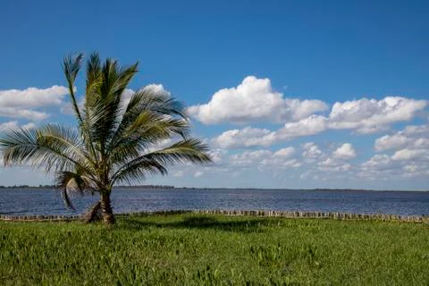 Tropical Stock Photos