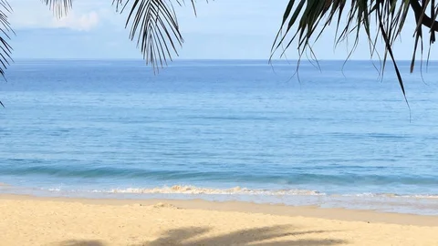 Tropical phuket beach with palm trees 库存影片 118570241