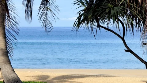Tropical phuket beach with palm trees Vidéo 118570260