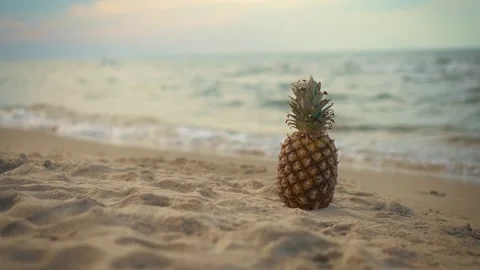 Tropical Pineapple in paradise sandy beach against background of sea with waves Stock Footage 256983360