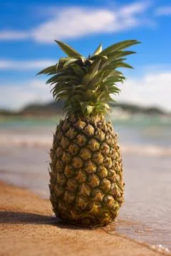 Tropical pineapple in the sea on an exotic beach Stock Photos