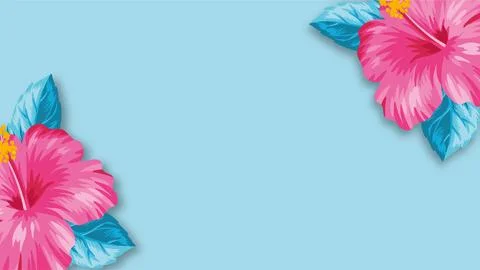 Tropical pink hibiscus flowers with blue leaves on light blue background wi.. Stock Illustration