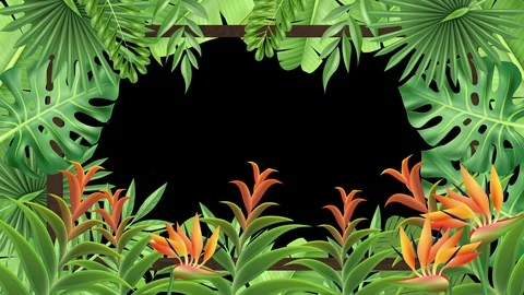 Tropical Plant Frame Stock Footage 123153445