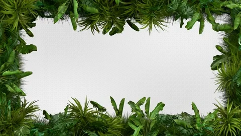 Tropical Plant Frame Loop - Green Leaves Swaying Animation with Transparent Stock Footage 311755360