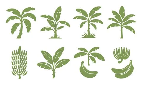 Tropical plant icons palm trees collection eco nature vector design Stock Illustration