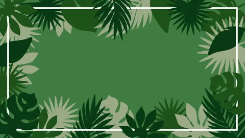 Tropical plant leaves appearing on solid background. Botanical frame template. Video stock 144625847