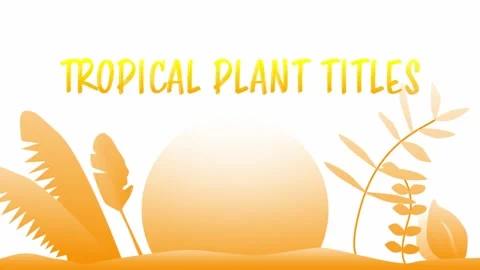 Tropical Plant Vector Titles Stock After Effects