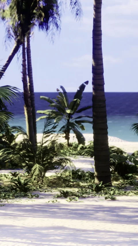 Tropical plants beside sandy beach with ocean in background on sunny day Stock Footage 332227426