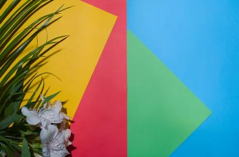 Tropical plants on a colored background Stock Photos