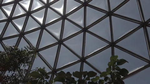 Tropical plants in a conservatory Stock Footage 109217048