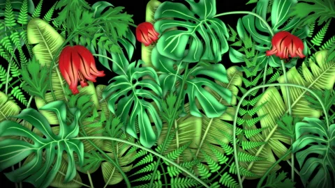 Tropical plants, loop-able from 20:00 to end. Monstera, palm leaves, ferns Stock Footage 147918782