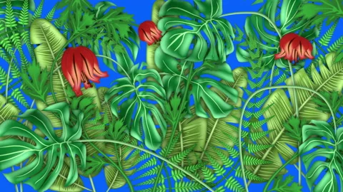 Tropical plants, loop-able from 20:00 to end. Blue screen. Monstera, palm leaves Stock Footage 147919233