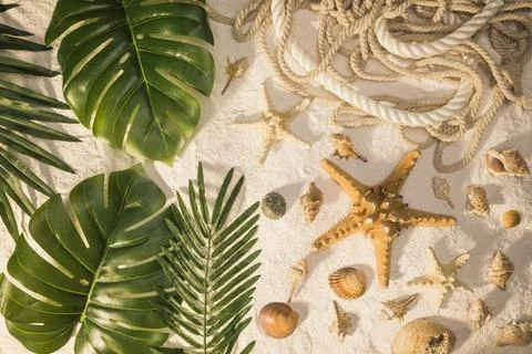 Tropical plants seashells Stock Photos
