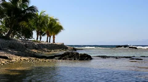 Tropical Point Stock Footage 12150458