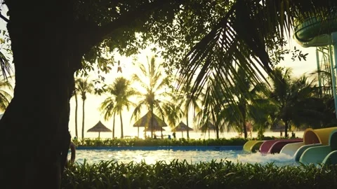 This tropical pool features exciting slides and lovely palm trees, especially Stock Footage 310929644