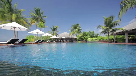 Tropical pool with palm trees Stock Footage 1008782