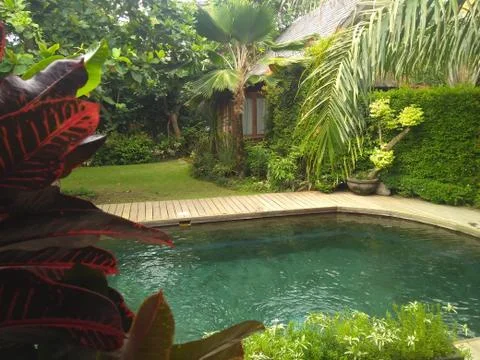 Tropical Pool Stock Photos