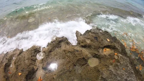 Tropical pools of diamonds. Stock Footage 107690740
