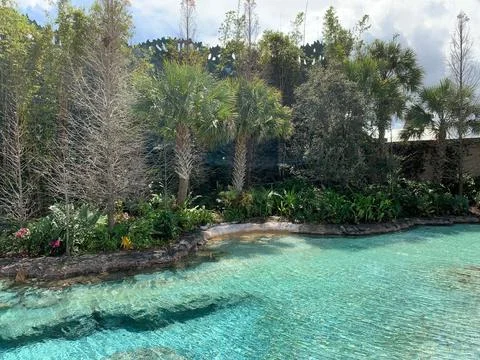 Tropical Poolside Oasis Stock Photos
