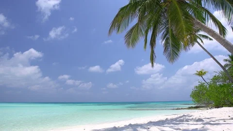 Tropical pristine beach with coconut palm and turquoise water Stock Footage
