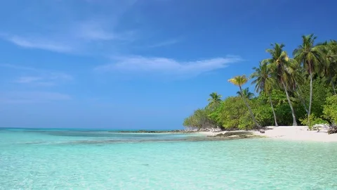 Tropical pristine beach with coconut palm Stock Footage 79078185
