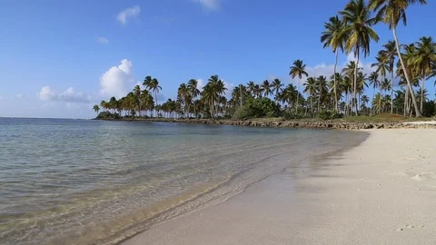 Tropical pristine beach with coconut palm and turquoise clear water Видео 94349043