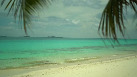 Tropical pristine beach with coconut palm and turquoise water, Maldives travel Stock Footage 153476825