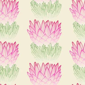 Tropical protea flower background. Stock Illustration