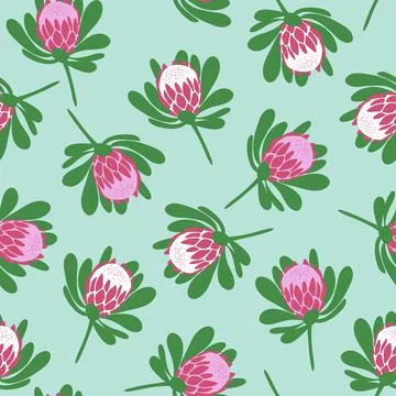 Tropical protea flowers seamless pattern on light green background Stock Illustration