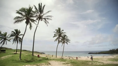 Tropical Public Beach on Easter Island Stock Footage 77167818