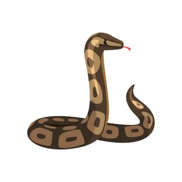 Tropical python pythonidae with tongue out. Large non-venomous dark-colored Stock Illustration