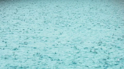 Tropical rain background with thunder Vidéo 51761249