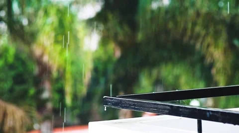 Tropical rain with blurred palm trees background. Stock Footage 49765591